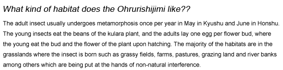 What kind of habitat does the Ohrurishijimi like??
The adult insect usually undergoes metamorphosis once per year in May in Kyushu and June in Honshu. The young insects eat the beans of the kulara plant, and the adults lay one egg per flower bud, where the young eat the bud and the flower of the plant upon hatching. The majority of the habitats are in the grasslands where the insect is born such as grassy fields, farms, pastures, grazing land and river banks among others which are being put at the hands of non-natural interference.